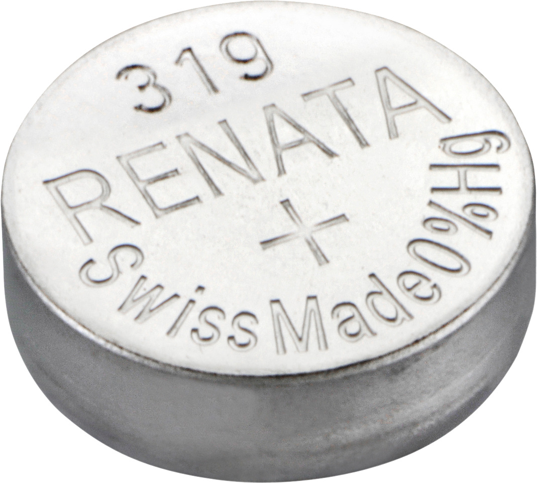 319 RENATA