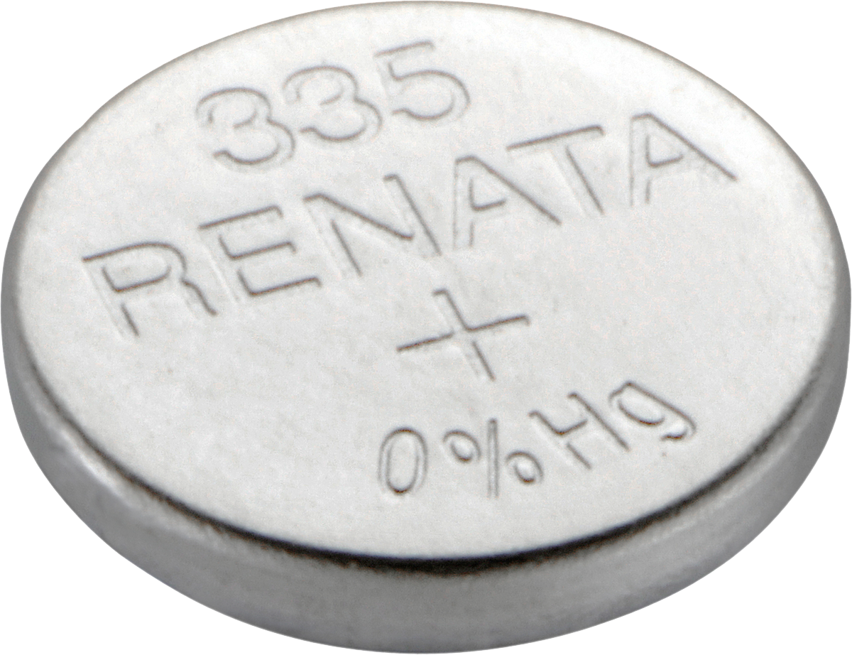 335 RENATA